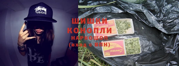 прущий лед Инсар