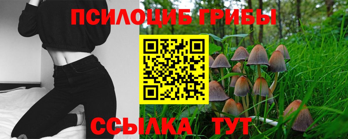 Галлюциногенные грибы Psilocybine cubensis  Вход с VPN  Нижний Тагил 